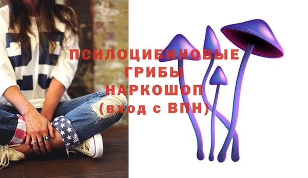 мяу мяу кристалл Елизово