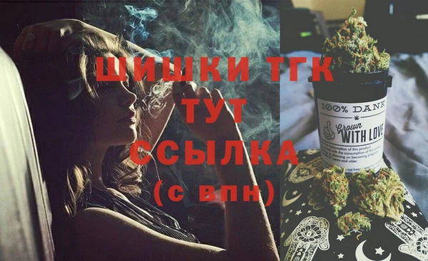 2c-b Ельня