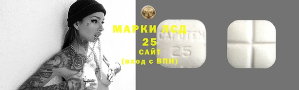 2c-b Ельня