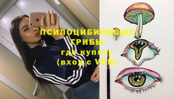 2c-b Ельня