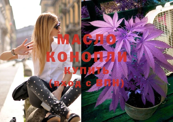 2c-b Ельня