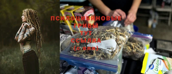 2c-b Ельня