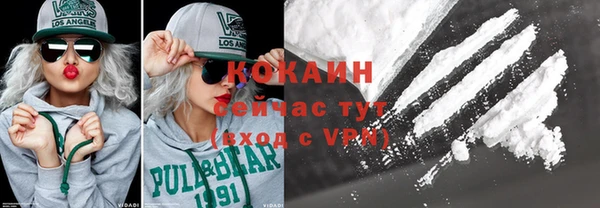 2c-b Ельня