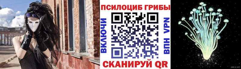 Псилоцибиновые грибы Psilocybe  Калачинск 